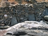 xerolithies3