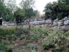 Τα αρχαία τείχη στη τοποθεσία \"Καλατζέικα\" κάτω από το ύψωμα πετσούρια
