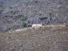 picture-2