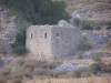picture-3