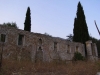 picture-4