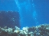 81617031e9318e4f76b86b7f8109eaa5_10_s
