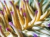 81617031e9318e4f76b86b7f8109eaa5_20_s