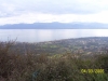 Παλαιοκαρυά
