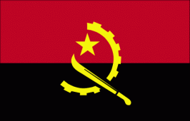 ao-lgflag
