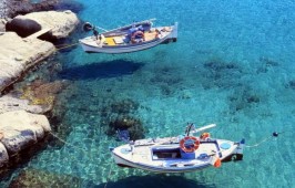 τεσυτ