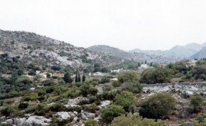 aidonohori