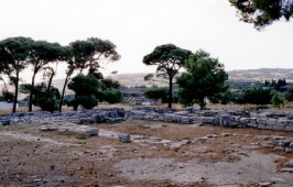 tislisos1