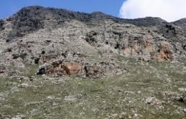 kentrohori