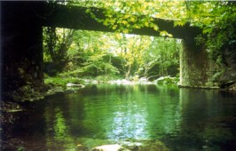 Koupa