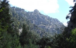 ag-eirini-gorge