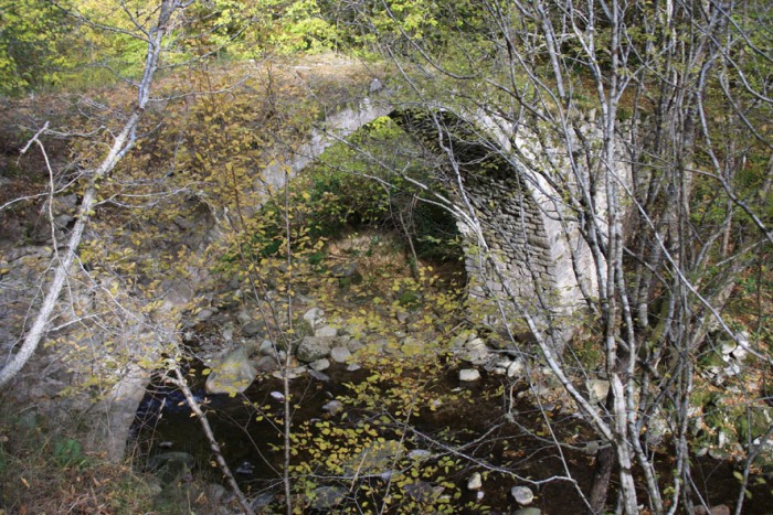 istoria-dimou
