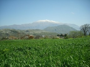 Γερακάρι