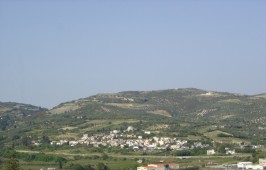 Καλλονή