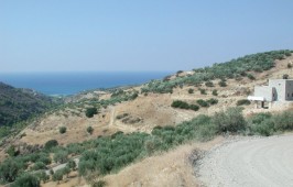 Kαψάλη