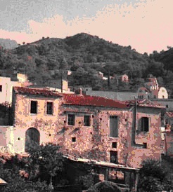 Πλατάνια