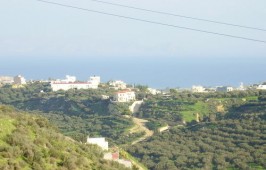Καλλιθέα, Πρασσάς