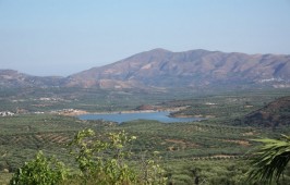 Πάνω Πουλιές