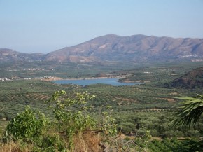 Πάνω Πουλιές