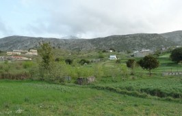 Αβρακόντες