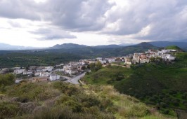 Ινιά