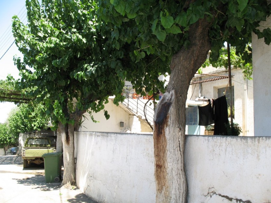 Κάτω Πουλιές