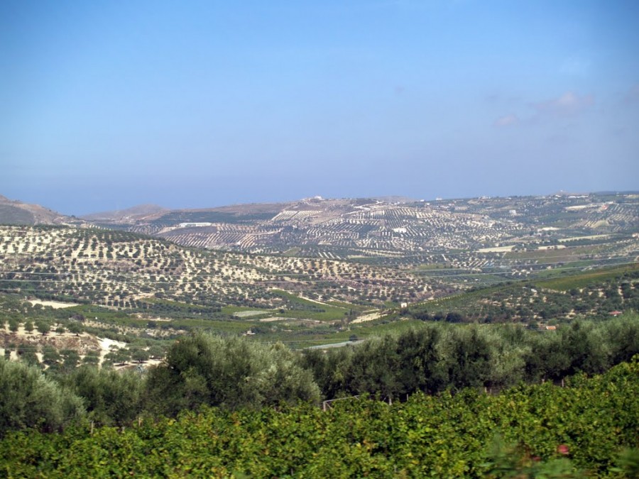 Πεζά