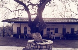 Βασιλόπουλο