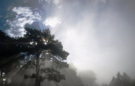 Πάδες - Δρακόλιμνη - Κορυφή Σμόλικα