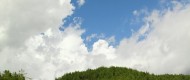 Γκρίμποβο