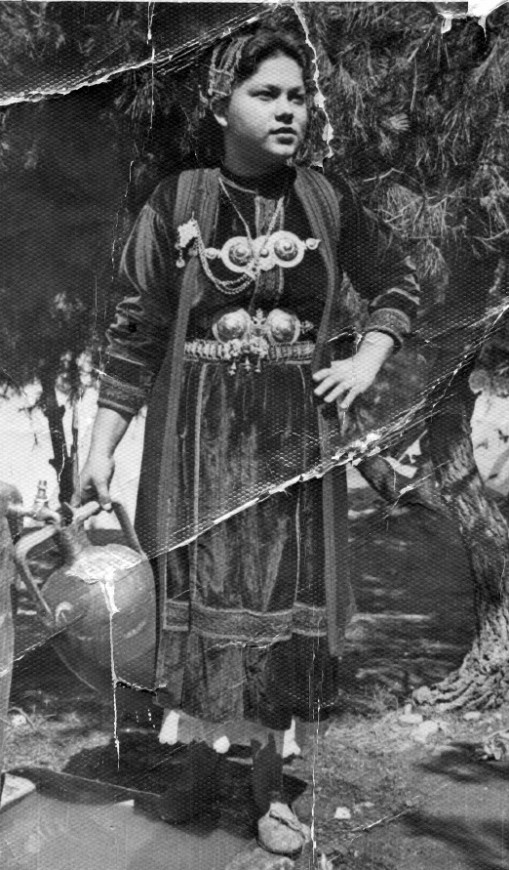 ΠΑΡΑΔΟΣΙΑΚΗ ΦΟΡΕΣΙΑ ΠΩΓΩΝΙΟΥ