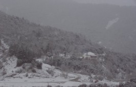 Λεπιανά