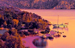 Ασίνη