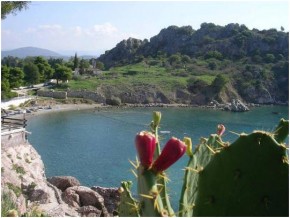 Ασίνη