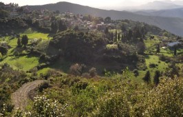 Κλειστοί