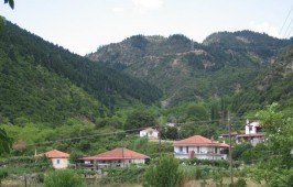 Μηλιές
