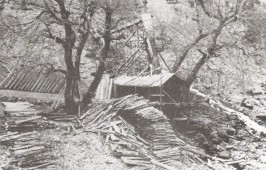Strigania