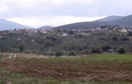 agioi-theodwroi