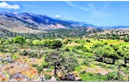 Δούλι Ηρακλείου