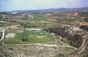 Η περιοχή Σέσκλο