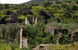 Πλάτανος