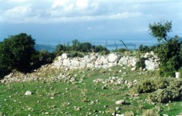 teixos5