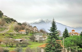CIMG0694