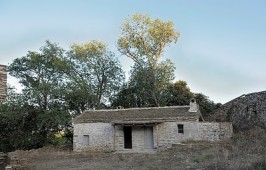 _DSC0041