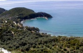Παραλία Αρίλλα