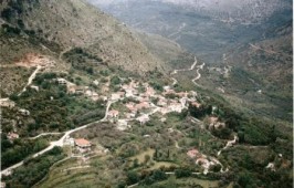 Κοκκινιά