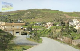 Καρκαδιώτισσα