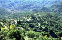 Κεφαλοχώρι