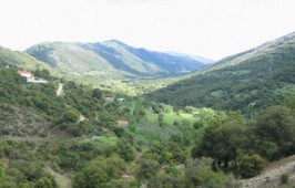 Άνω Σκαφιδωτή