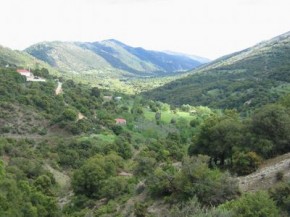 Άνω Σκαφιδωτή